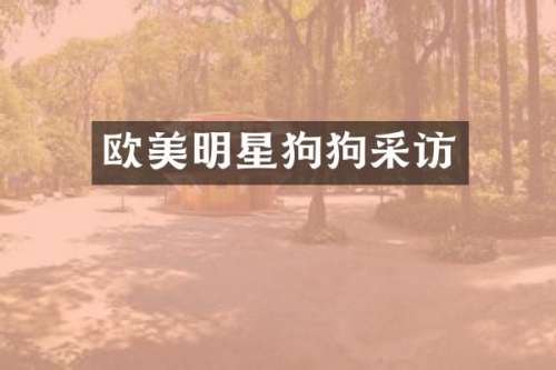 欧美明星狗狗采访