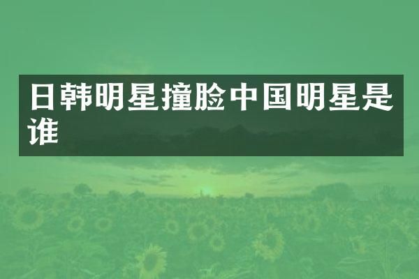 日韩明星撞脸中国明星是谁
