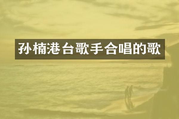 孙楠港台歌手合唱的歌