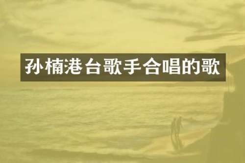 孙楠港台歌手合唱的歌