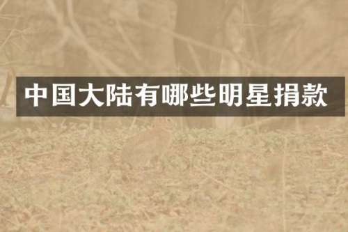 中国大陆有哪些明星捐款