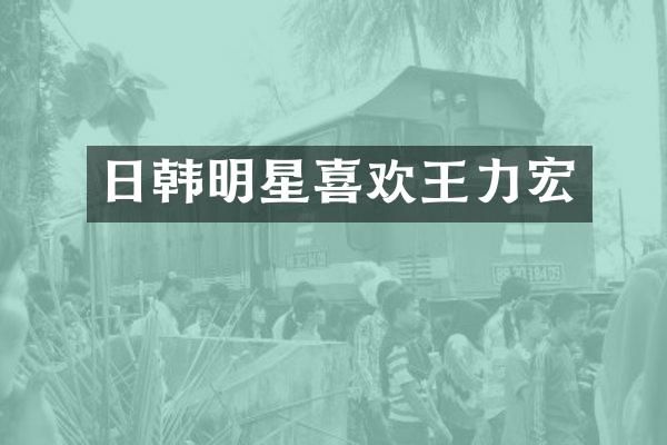 日韩明星喜欢王力宏