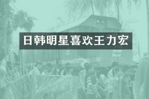 日韩明星喜欢王力宏