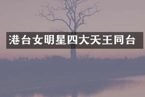 港台女明星四大天王同台
