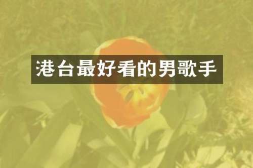 港台最好看的男歌手