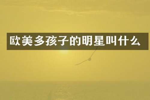 欧美多孩子的明星叫什么