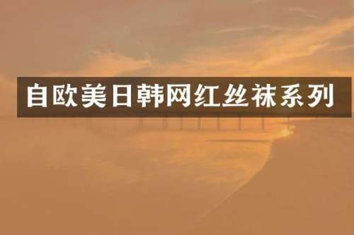 自欧美日韩网红丝袜系列