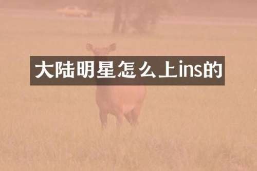 大陆明星怎么上ins的