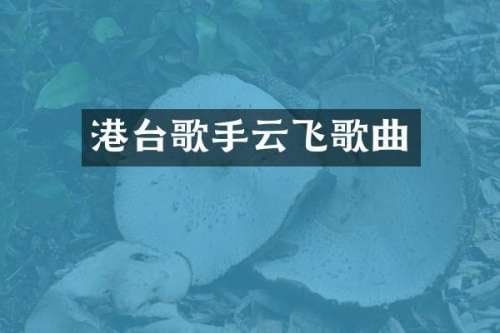港台歌手云飞歌曲