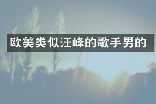 欧美类似汪峰的歌手男的