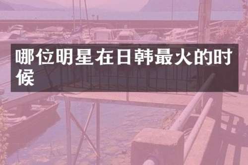 哪位明星在日韩最火的时候