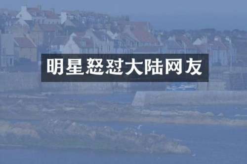 明星怒怼大陆网友