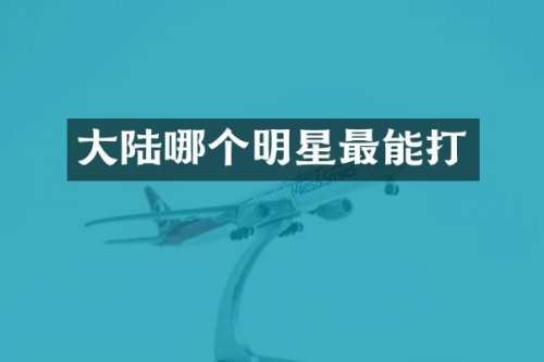 大陆哪个明星最能打