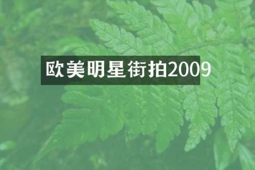 欧美明星街拍2009