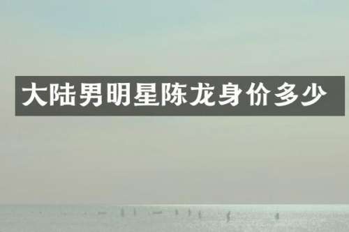 大陆男明星陈龙身价多少