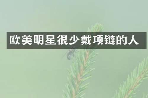 欧美明星很少戴项链的人