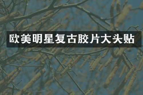 欧美明星复古胶片大头贴