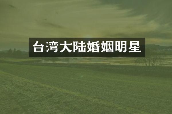 台湾大陆婚姻明星