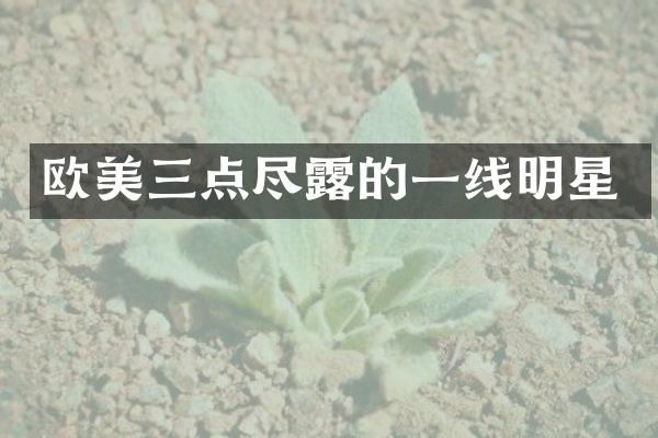 欧美三点尽的一线明星