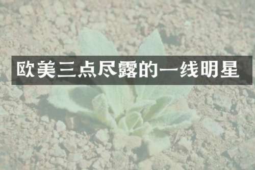 欧美三点尽的一线明星