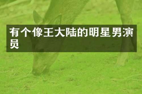有个像王大陆的明星男演员