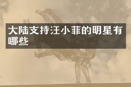 大陆支持汪小菲的明星有哪些