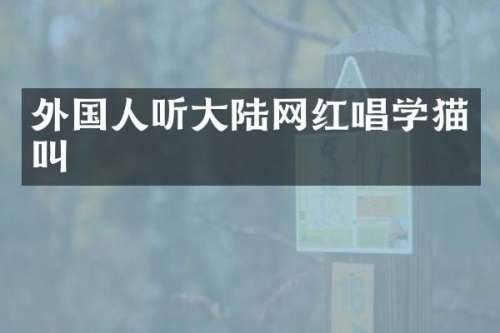 外国人听大陆网红唱学猫叫