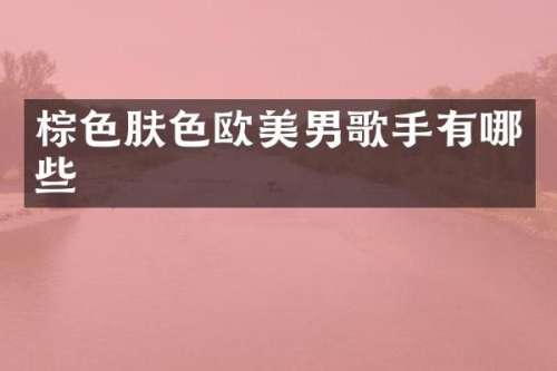 棕色肤色欧美男歌手有哪些