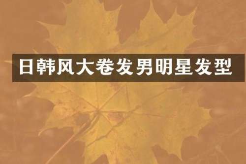 日韩风大卷发男明星发型