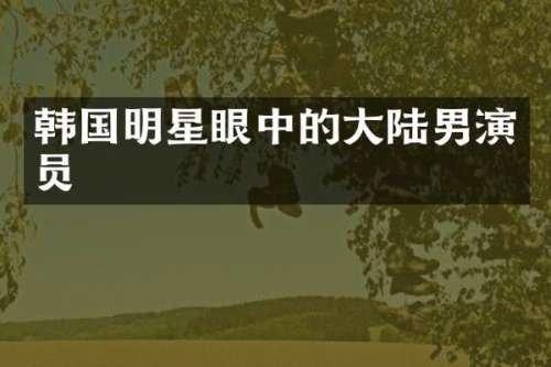 韩国明星眼中的大陆男演员