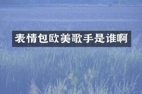 表情包欧美歌手是谁啊