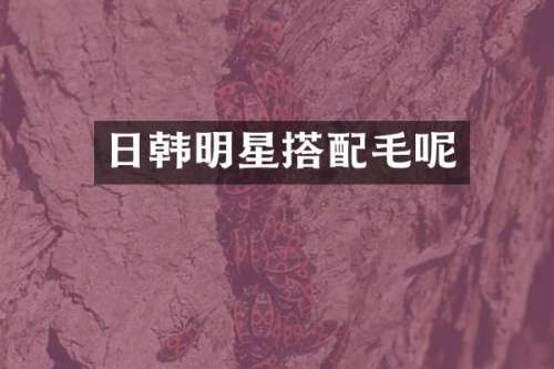 日韩明星搭配毛呢