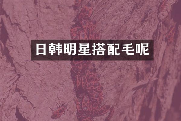 日韩明星搭配毛呢