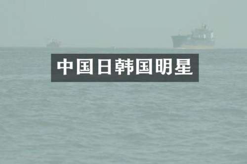 中国日韩国明星
