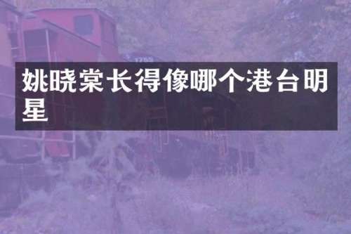 姚晓棠长得像哪个港台明星