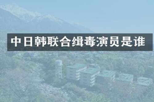 中日韩联合缉毒演员是谁