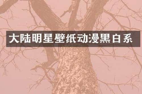 大陆明星壁纸动漫黑白系
