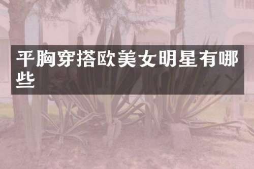 平穿搭欧明星有哪些