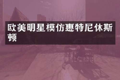 欧美明星模仿惠特尼休斯顿