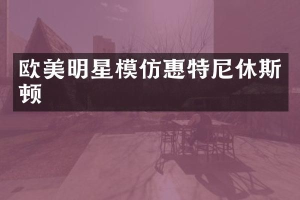 欧美明星模仿惠特尼休斯顿