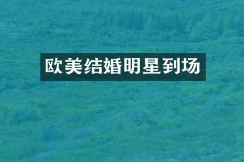 欧美结婚明星到场