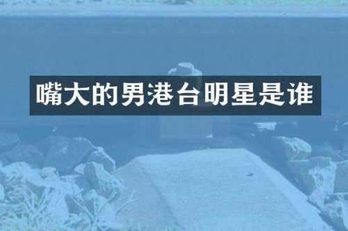 嘴大的男港台明星是谁