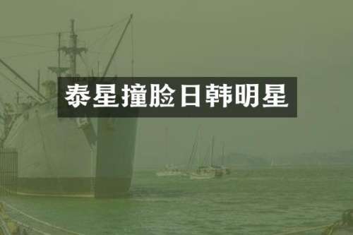 泰星撞脸日韩明星