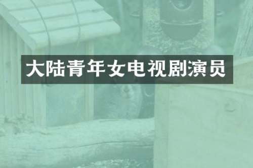 大陆青年女电视剧演员
