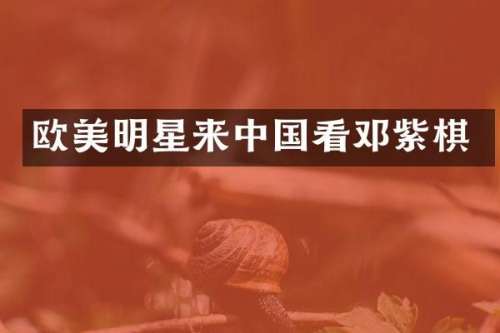 欧美明星来中国看邓紫棋