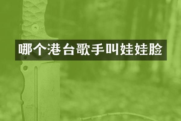 哪个港台歌手叫娃娃脸