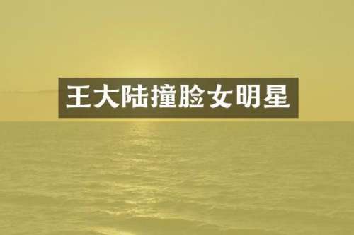 王大陆撞脸女明星