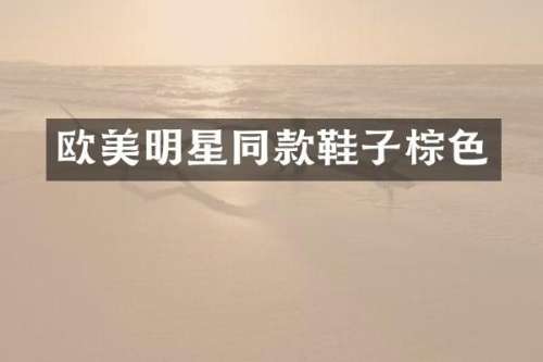 欧美明星同款鞋子棕色