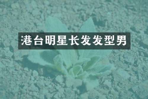 港台明星长发发型男