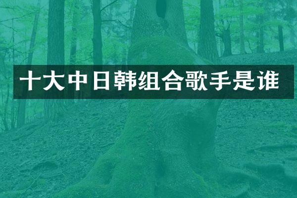 十大中日韩组合歌手是谁